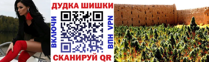 Купить  Сосновка  Каннабис Amnesia 